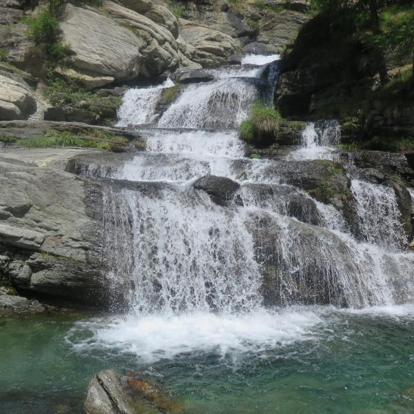 Cesacastina - Donato Di Costanzo